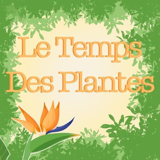 Photo représentant Le temps des Plantes 